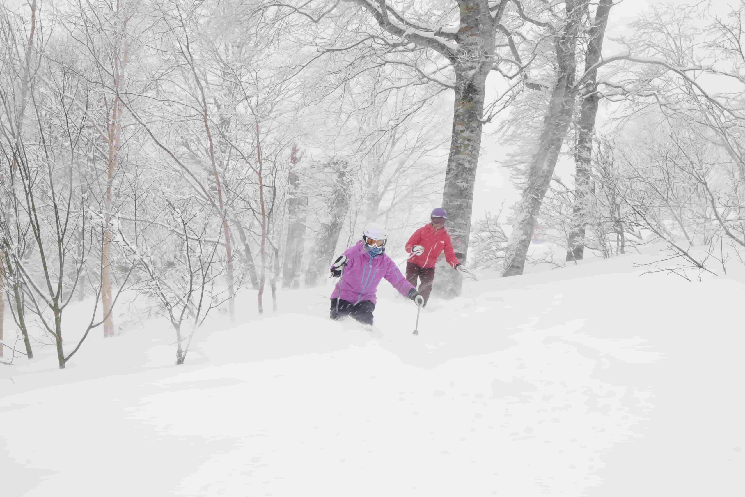 skiing powder in Japan