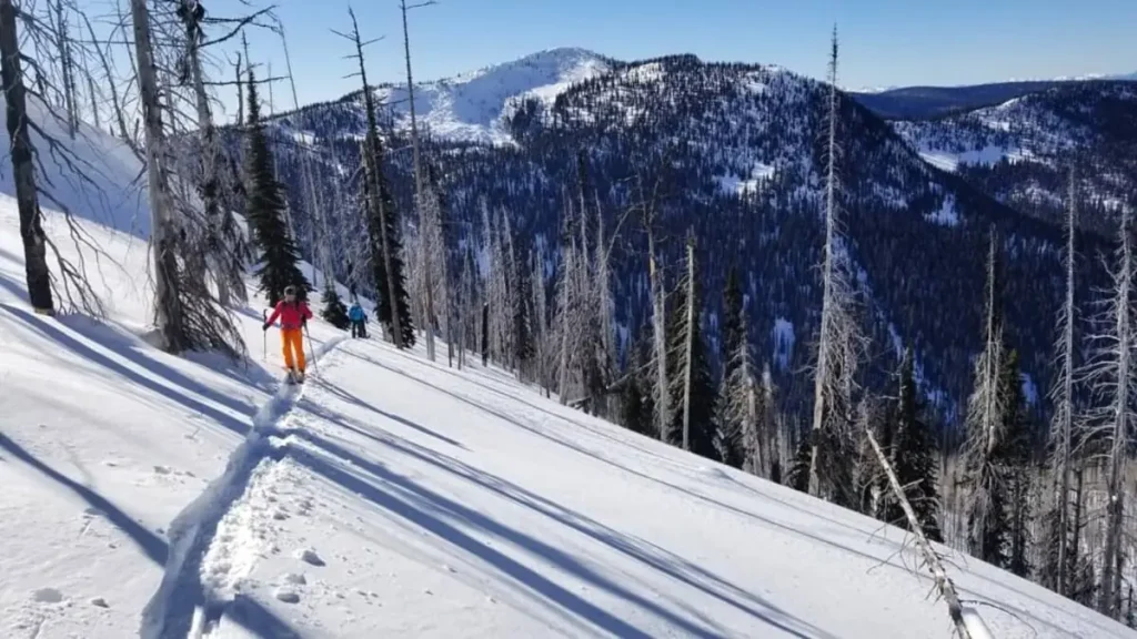 backcountry skiers in the Glacier Highway