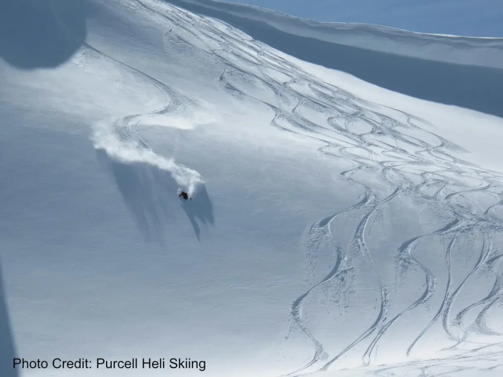 skier in a wide open bowl in the Purcells