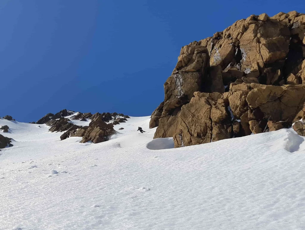 Newfoundland-1