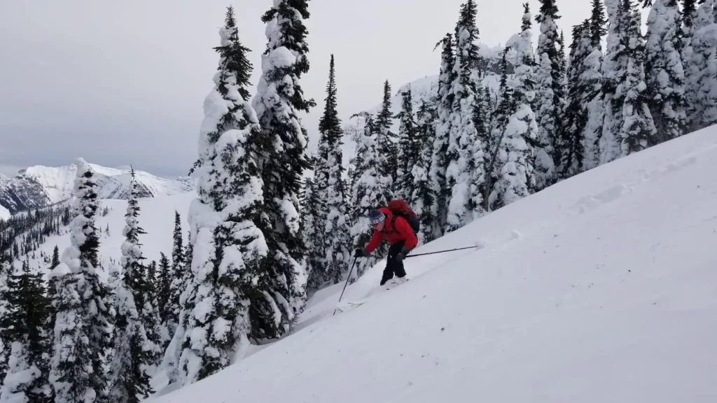 skier in backcountry powder on the Powder Highway