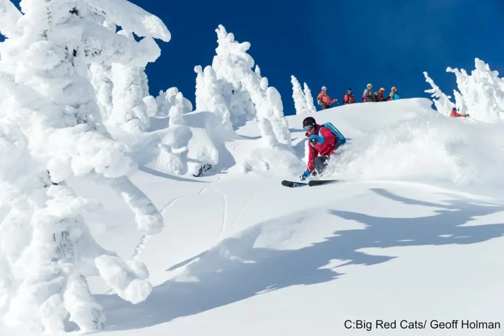 Cat skiing group watching another skier in deep powder