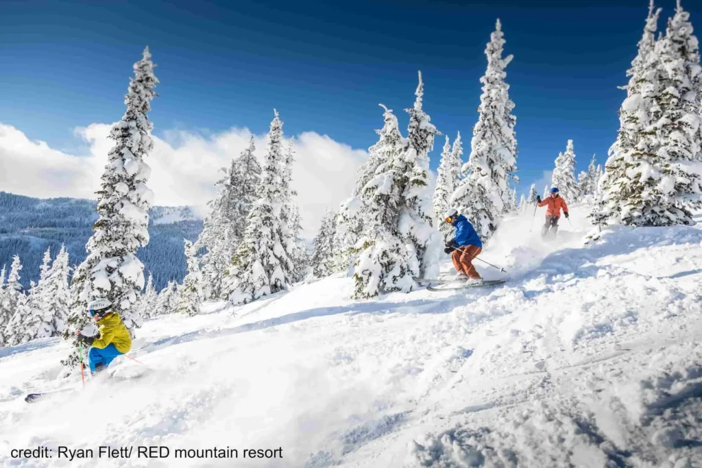 Red Mountain 1 3 skiers navigating the trees at Red Mountain ski resort