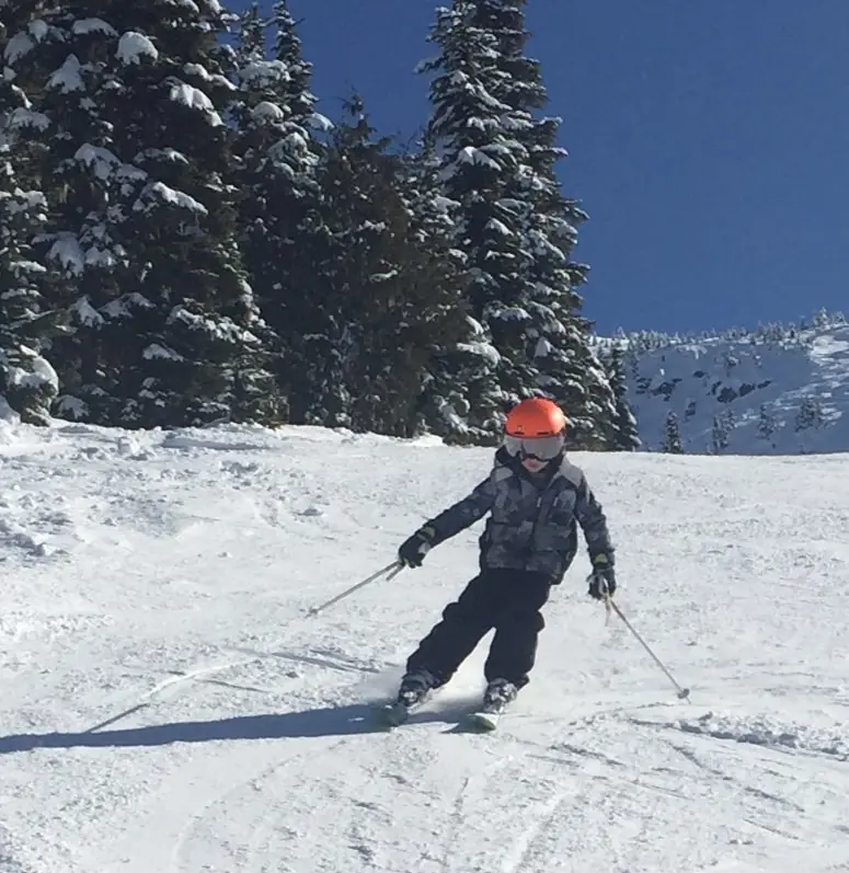 Revelstoke 3