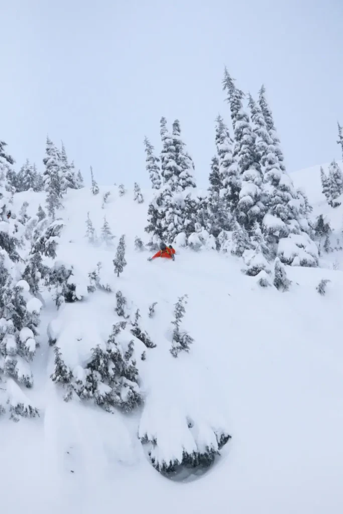 skier navigating deep powder on a cat skiing adventure in Revelstoke