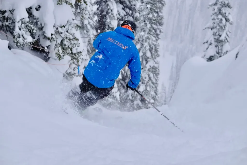 skier between the trees in Revelstoke