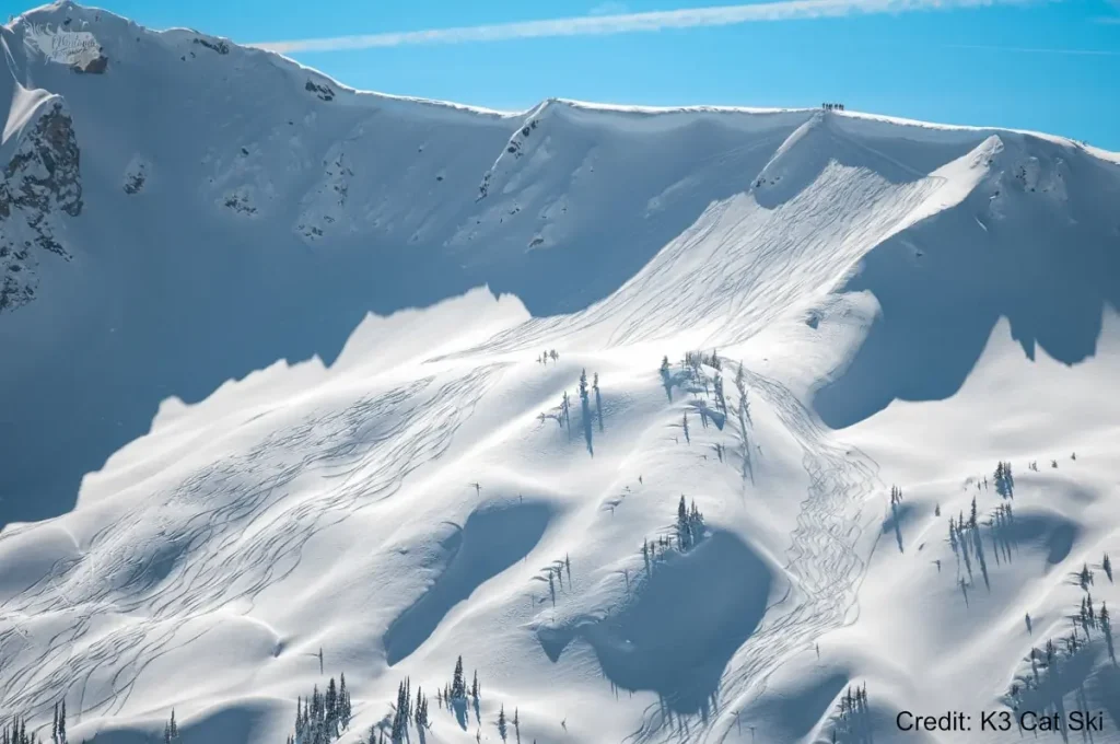 revelstoke-heliski 3 ski tracks all over a bowl in the Revelstoke backcountry