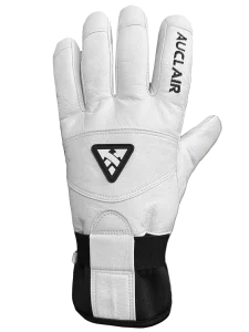 IMG_9876copy Auclair ski glove