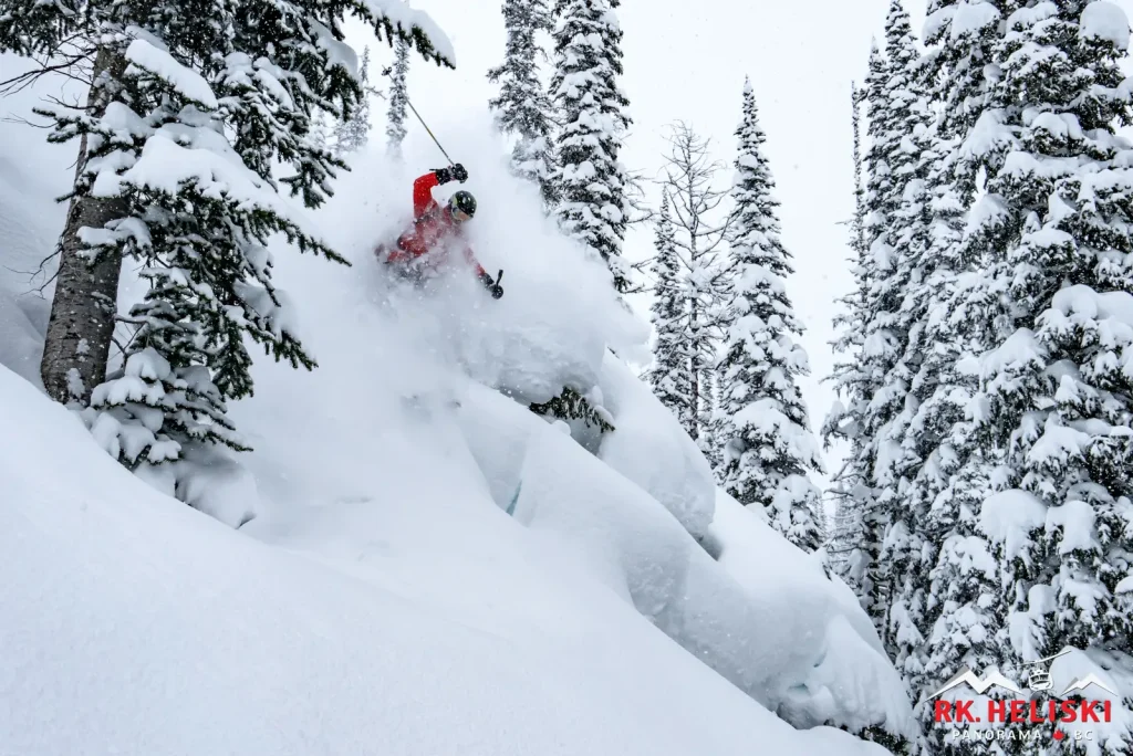 RK13-33 Skier in deep powder with RK Heli ski