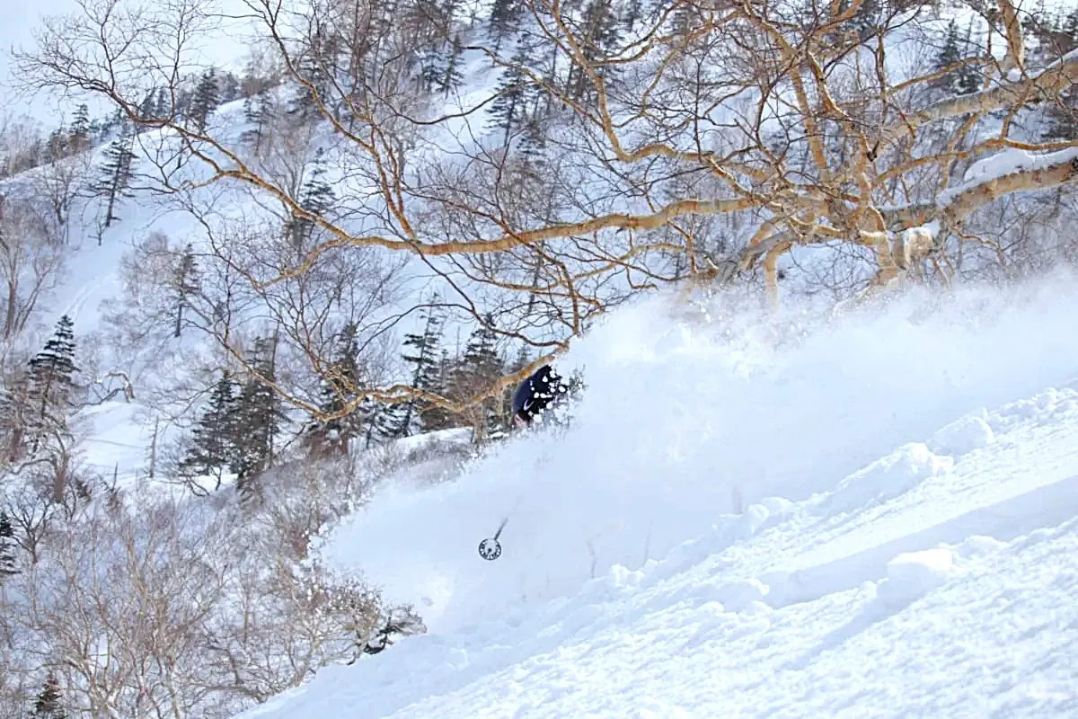 Tommamo-Japan-1-a Skier in famous Hakuba powder