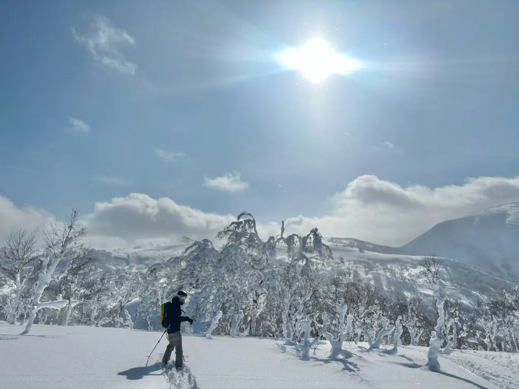 skier in fresh powder on a sunny day