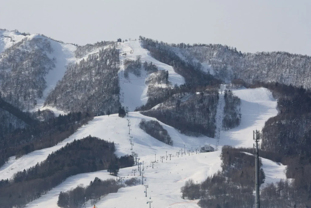 view from above Furano ski resort