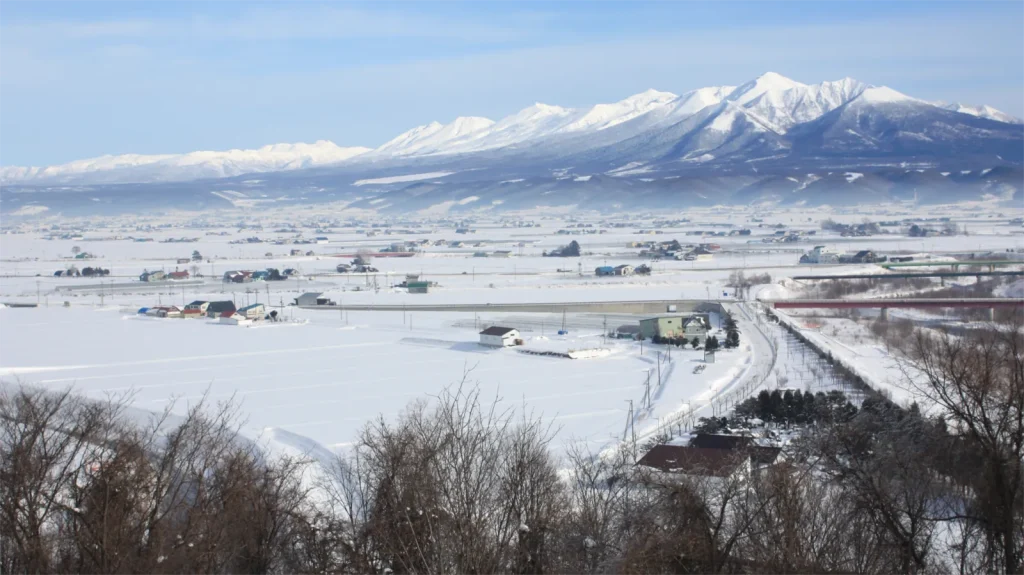 overhead view of Furano ski resort region