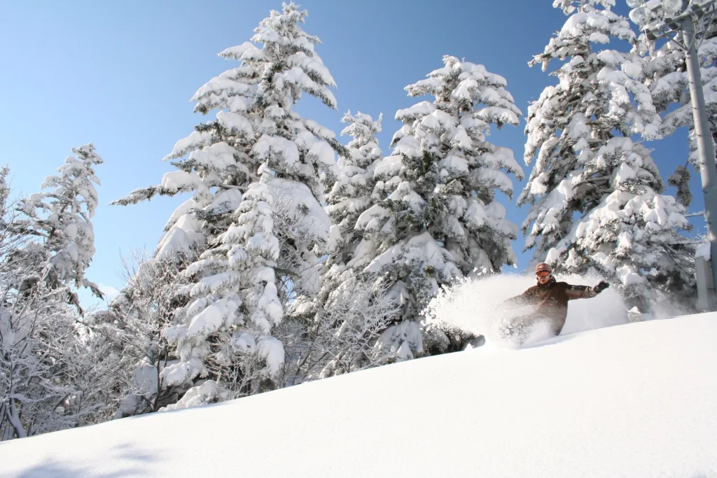 sunny day and fresh powder for a snowboarder in Furano, Japan